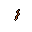 Worms