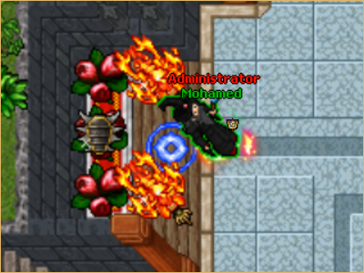 Carapace Shield